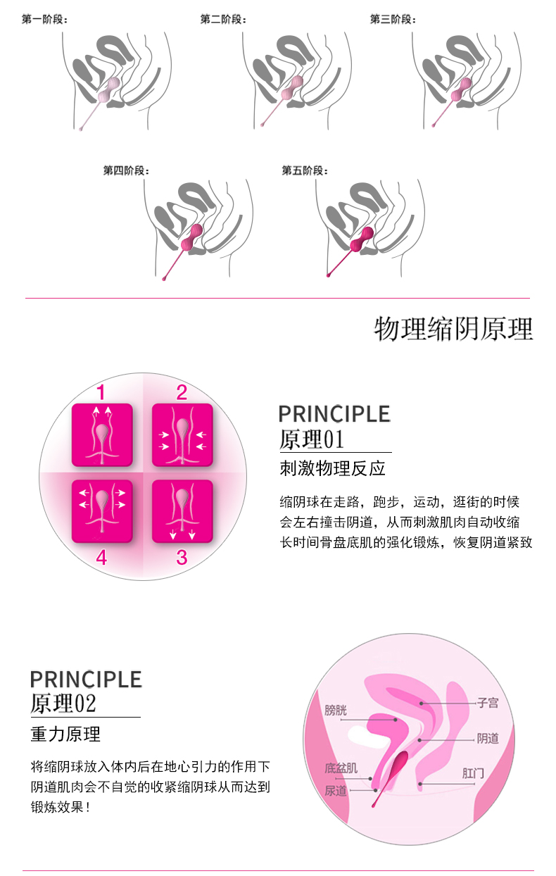 凯格尔缩阴球锻炼原理.jpg