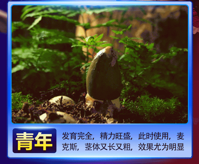 猛男事练出来的_03.jpg